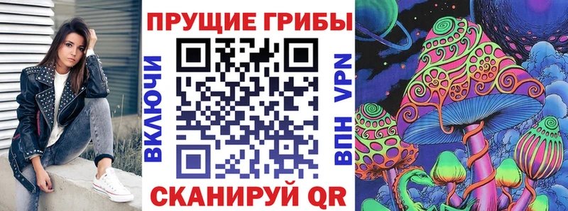 где купить кракен ТОР Галлюциногенные грибы Cubensis Бирюсинск